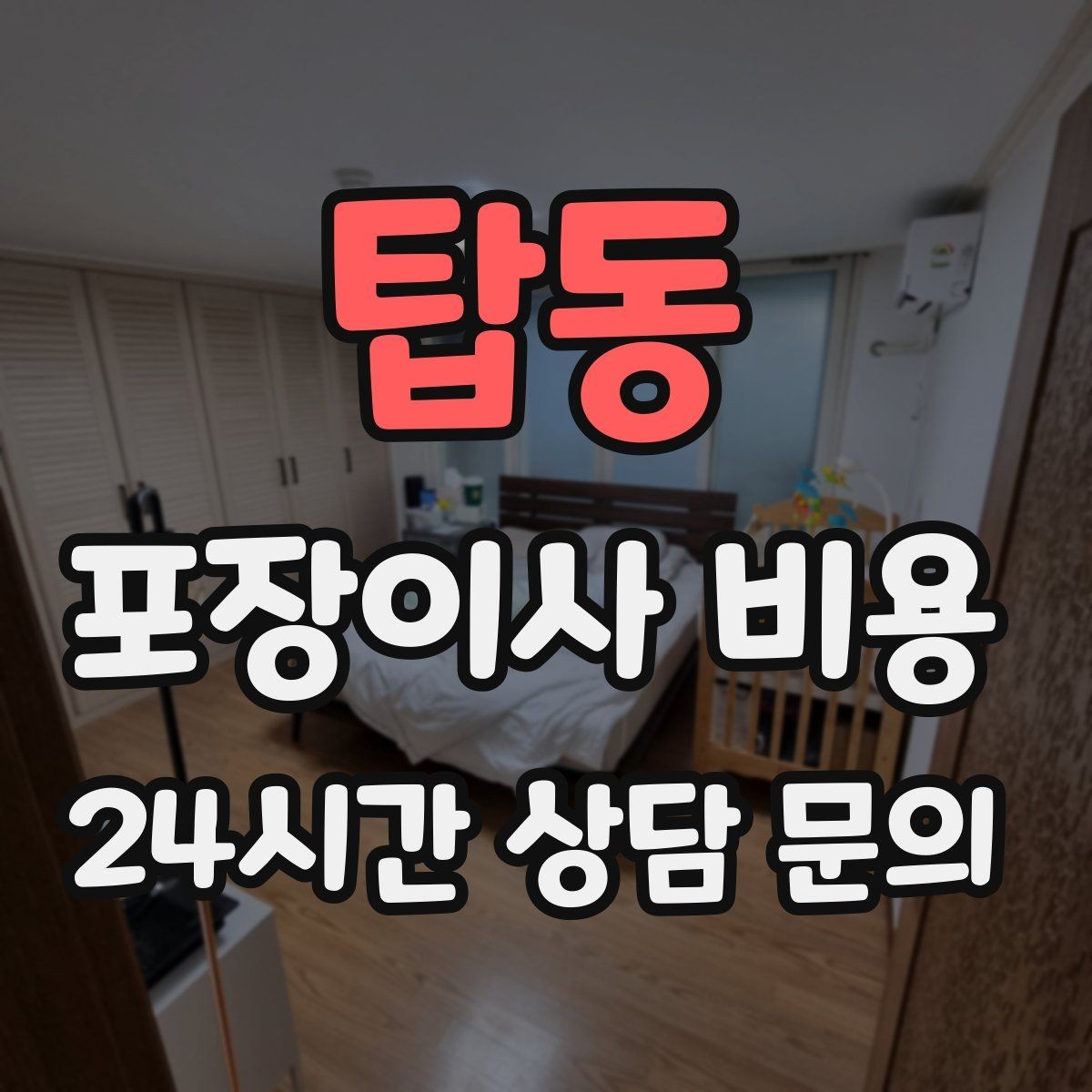 탑동 포장이사 비용 어항·대형 화분이 있을 때 견적 포인트