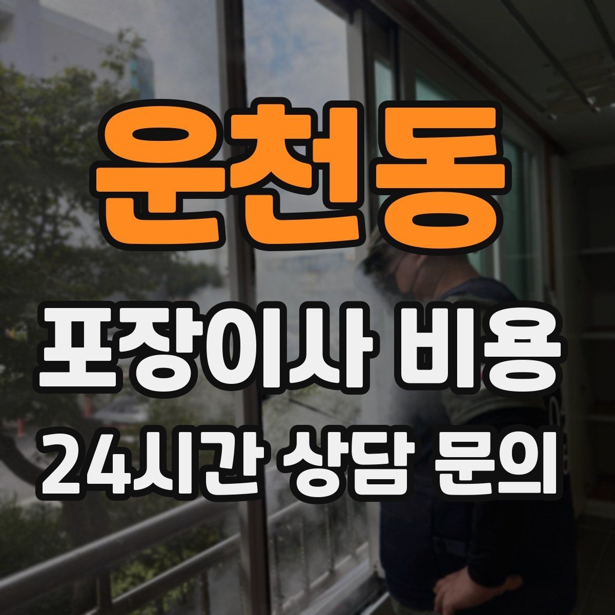 운천동 포장이사 비용 정리정돈 서비스까지 필요할 때 판단 기준