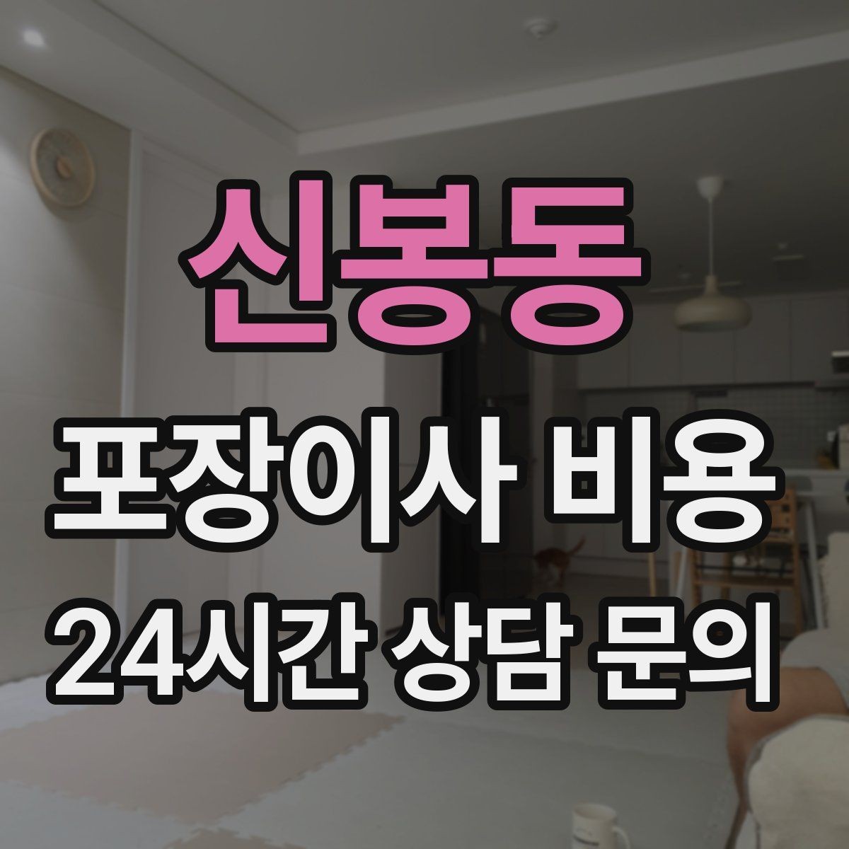 신봉동 포장이사 비용 반려동물 스트레스 줄이는 이사 당일 동선
