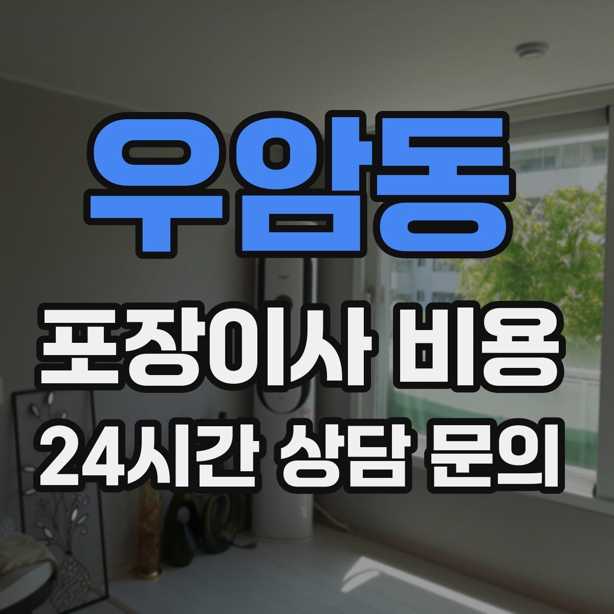 우암동 포장이사 비용