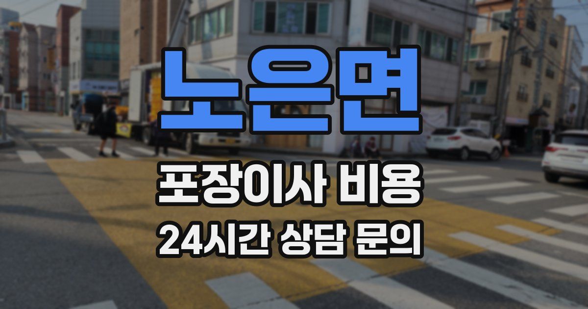 노은면 포장이사 비용