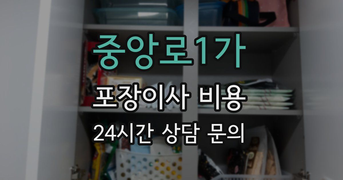 중앙로1가 포장이사 비용