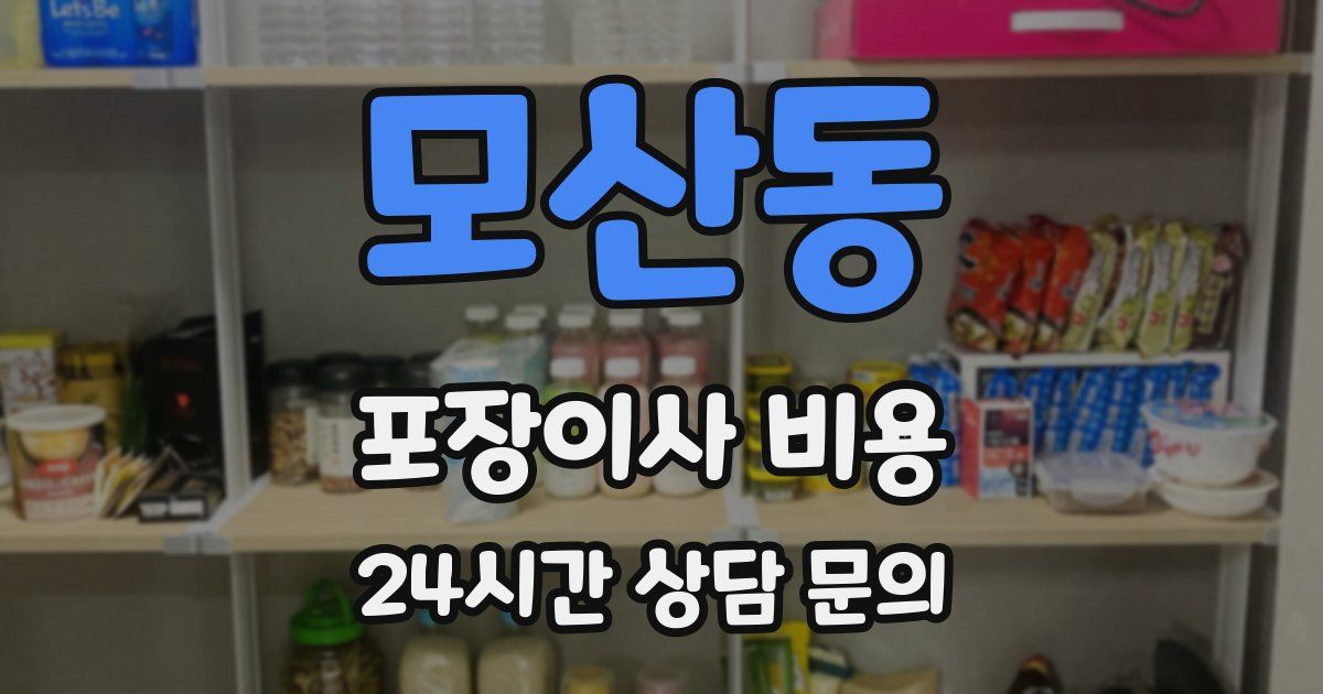 모산동 포장이사 비용