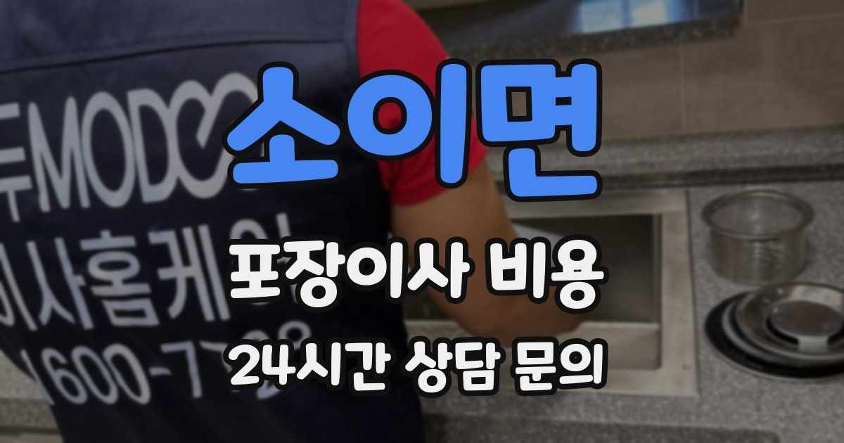 소이면 포장이사 비용