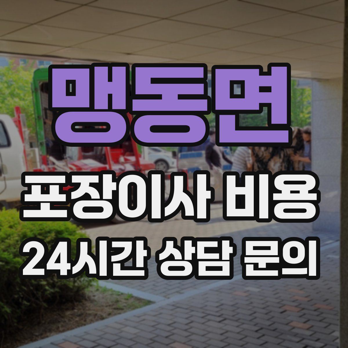맹동면 포장이사 비용