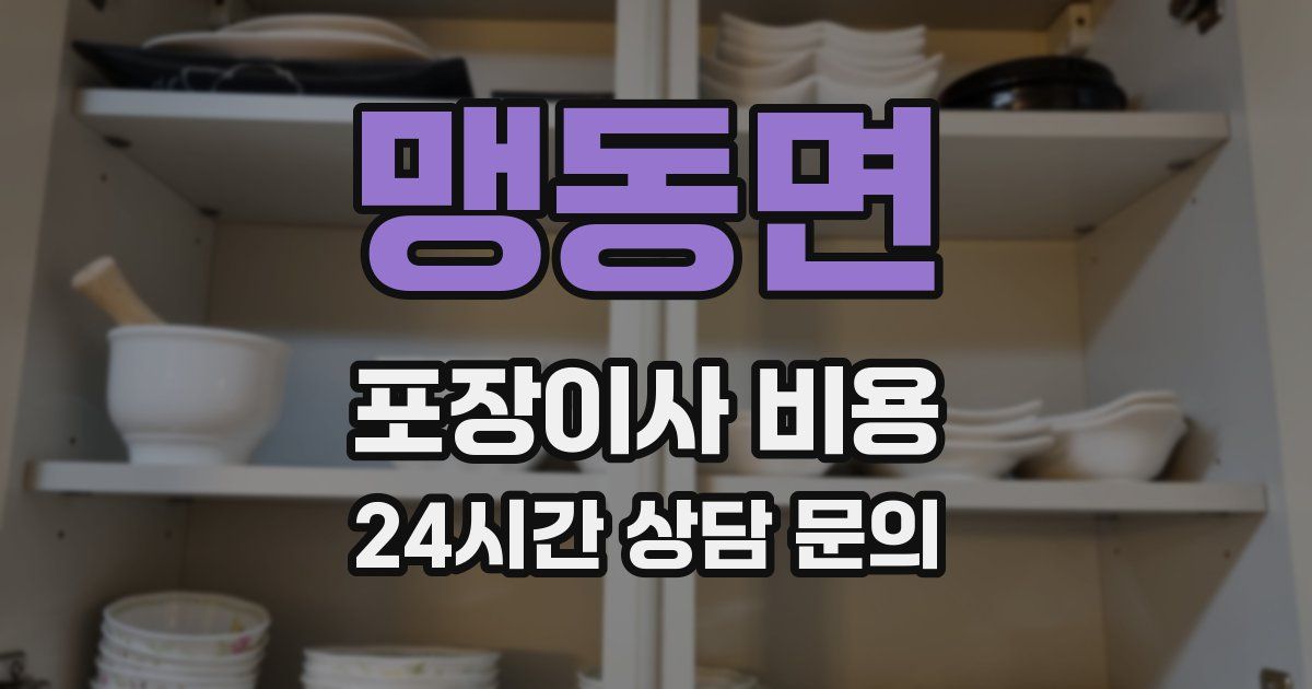 맹동면 포장이사 비용