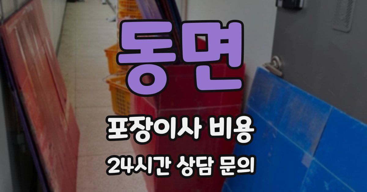 동면 포장이사 비용