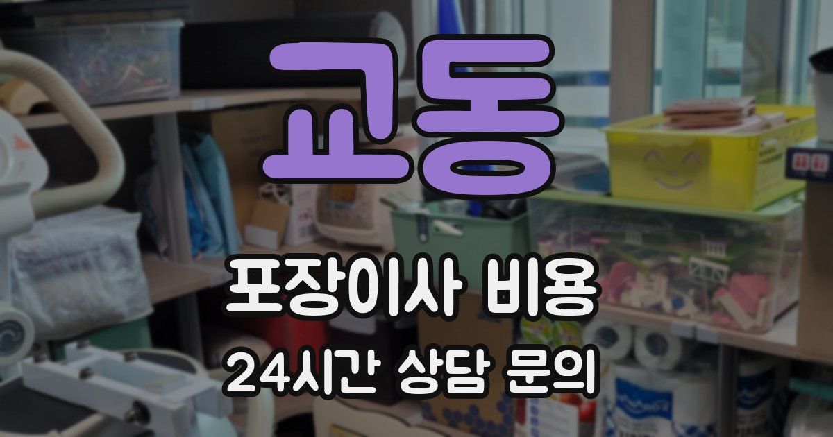 교동 포장이사 비용