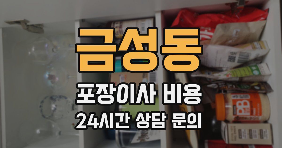 금성동 포장이사 비용