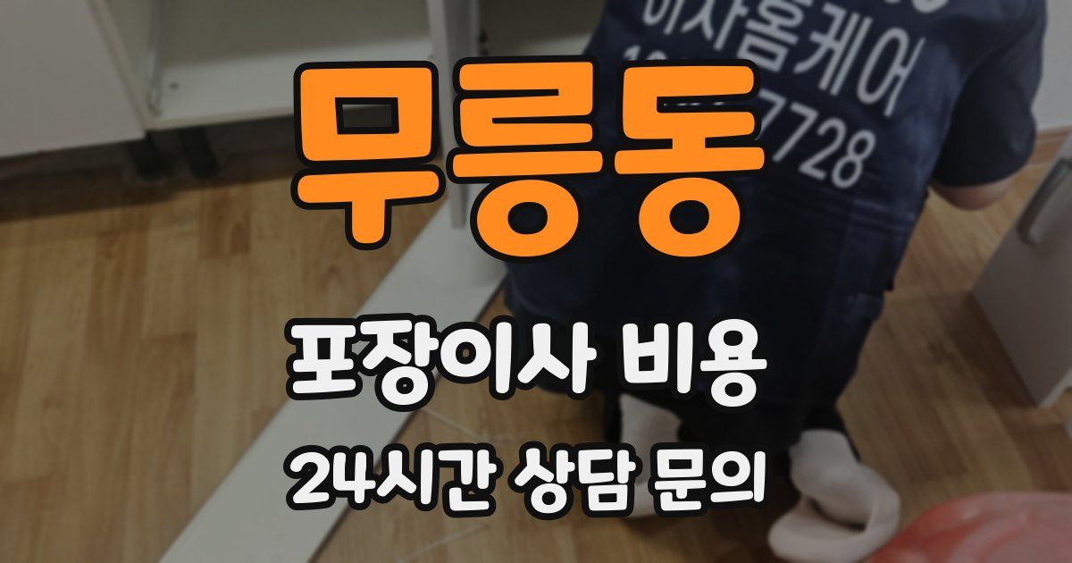 무릉동 포장이사 비용