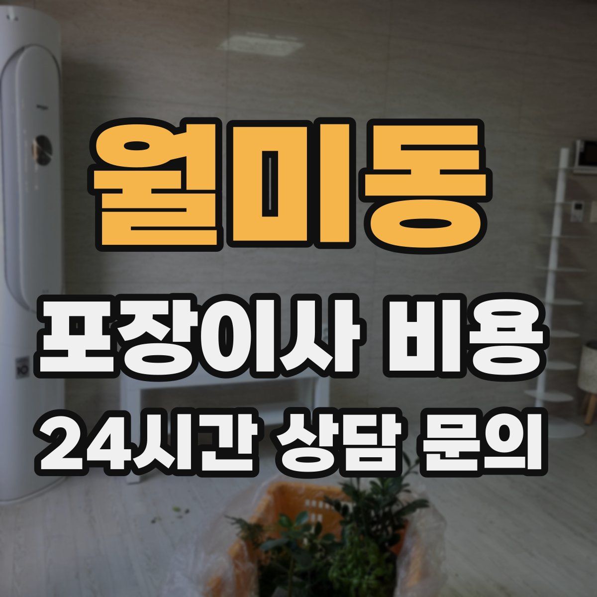 월미동 포장이사 비용