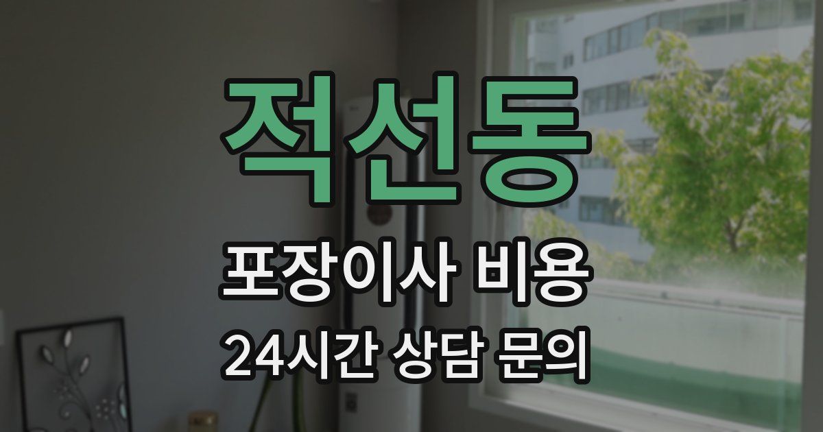 적선동 포장이사 비용