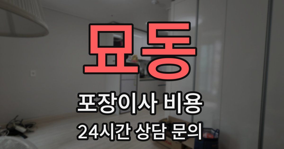 묘동 포장이사 비용