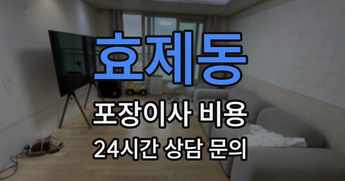 효제동 포장이사 비용