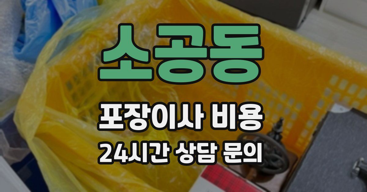 소공동 포장이사 비용