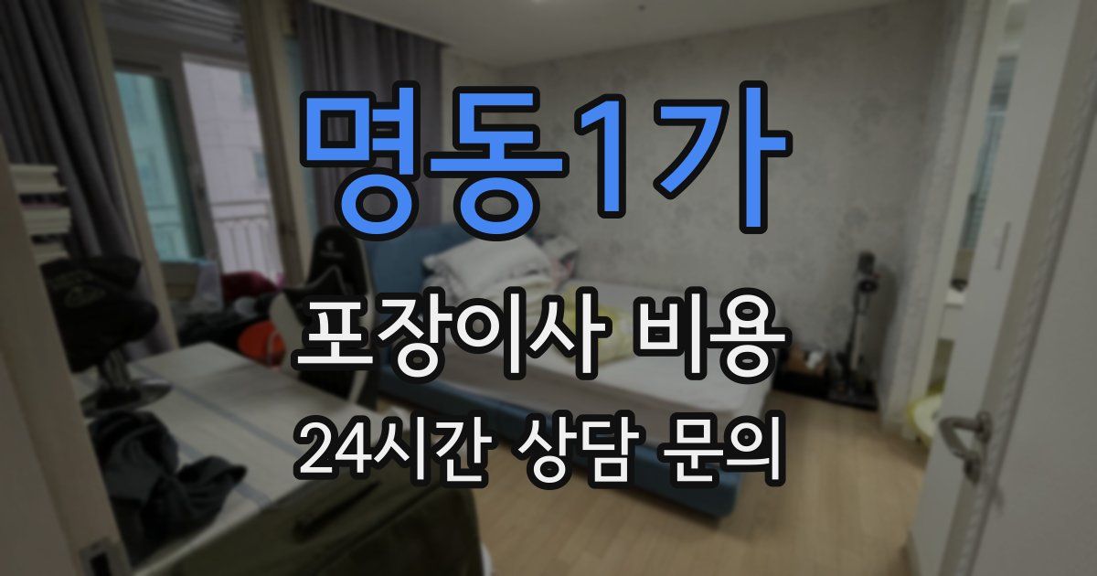 명동1가 포장이사 비용