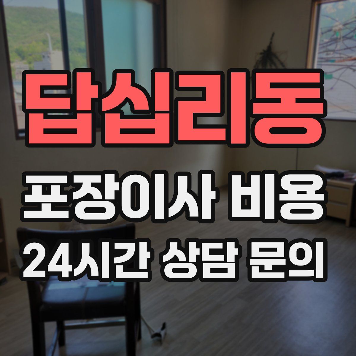 답십리동 포장이사 비용