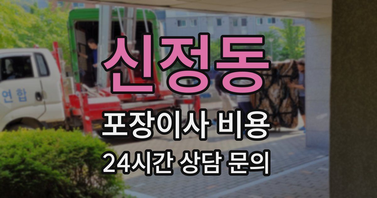 신정동 포장이사 비용