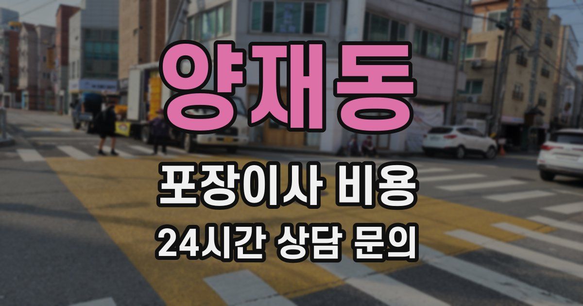 양재동 포장이사 비용