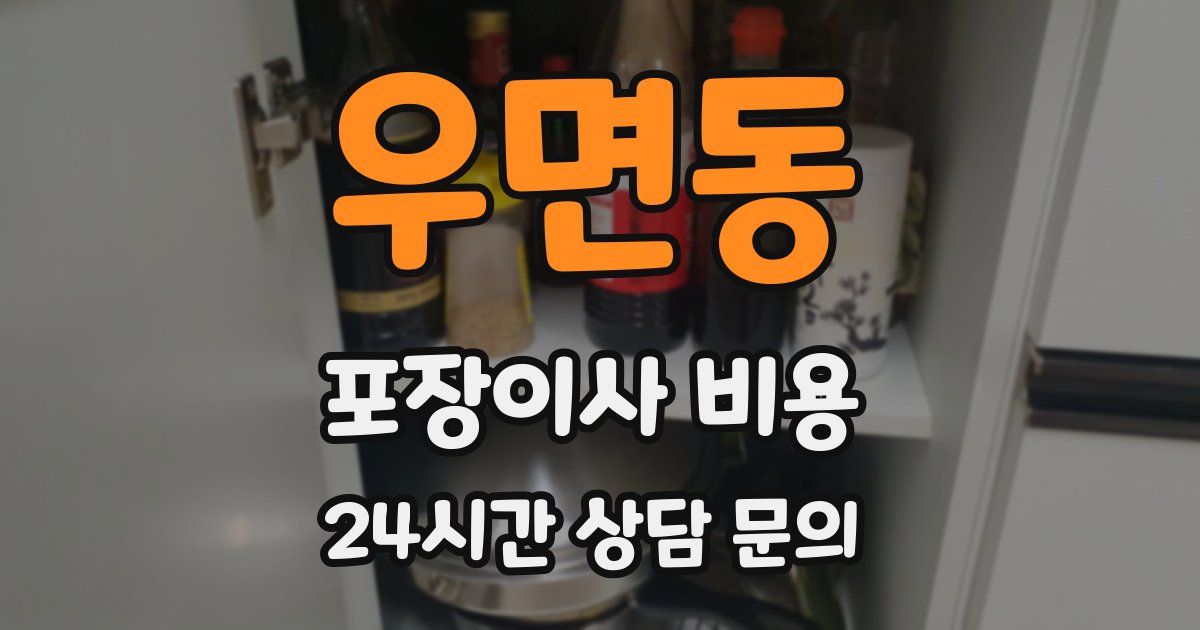 우면동 포장이사 비용