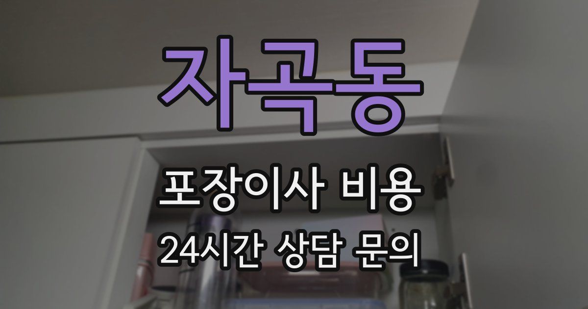 자곡동 포장이사 비용