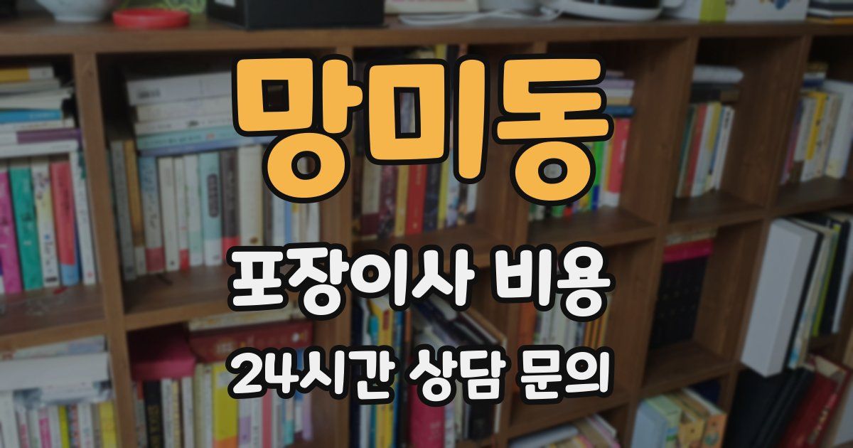 망미동 포장이사 비용
