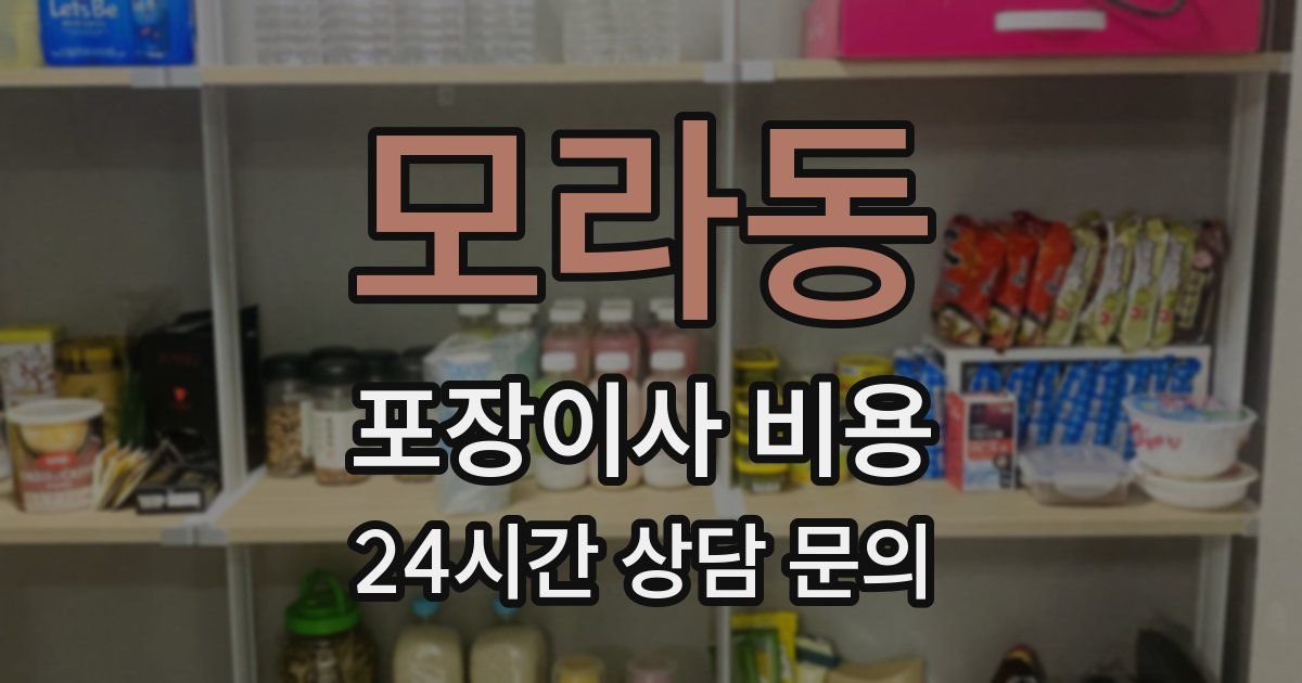 모라동 포장이사 비용
