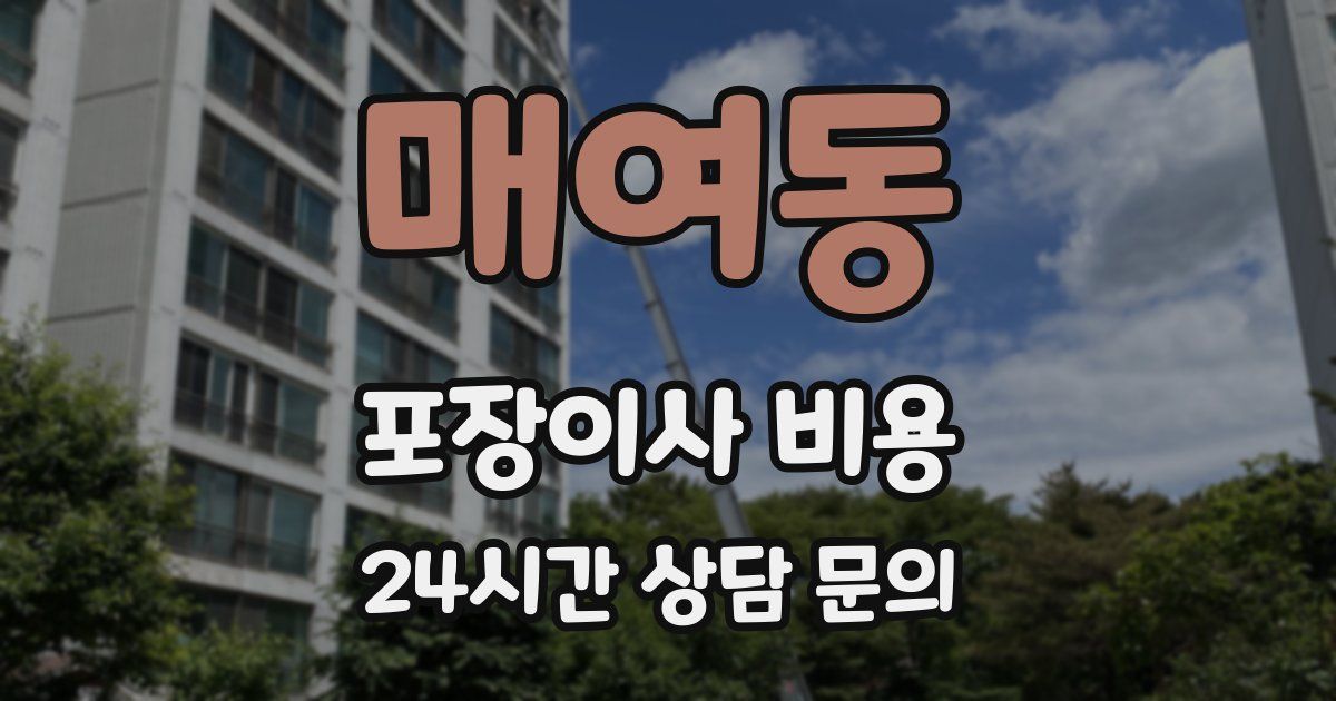 매여동 포장이사 비용