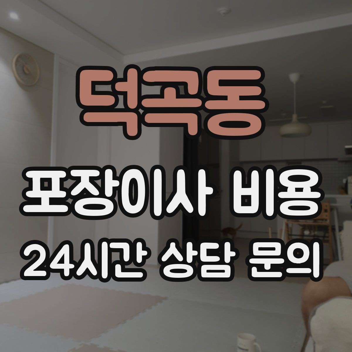 덕곡동 포장이사 비용