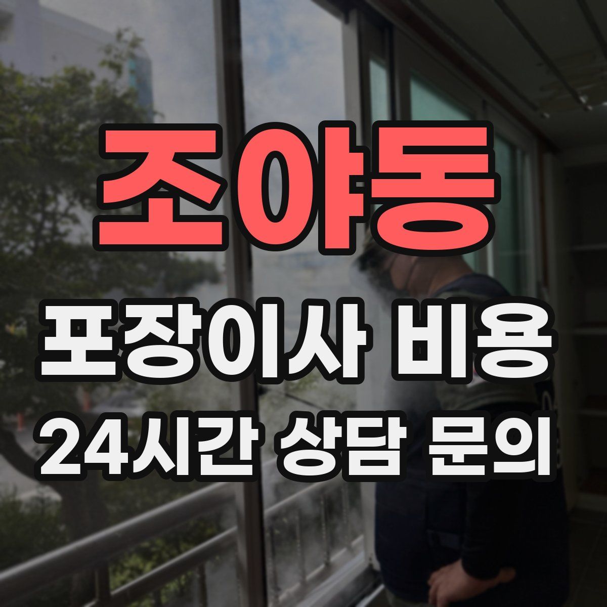 조야동 포장이사 비용