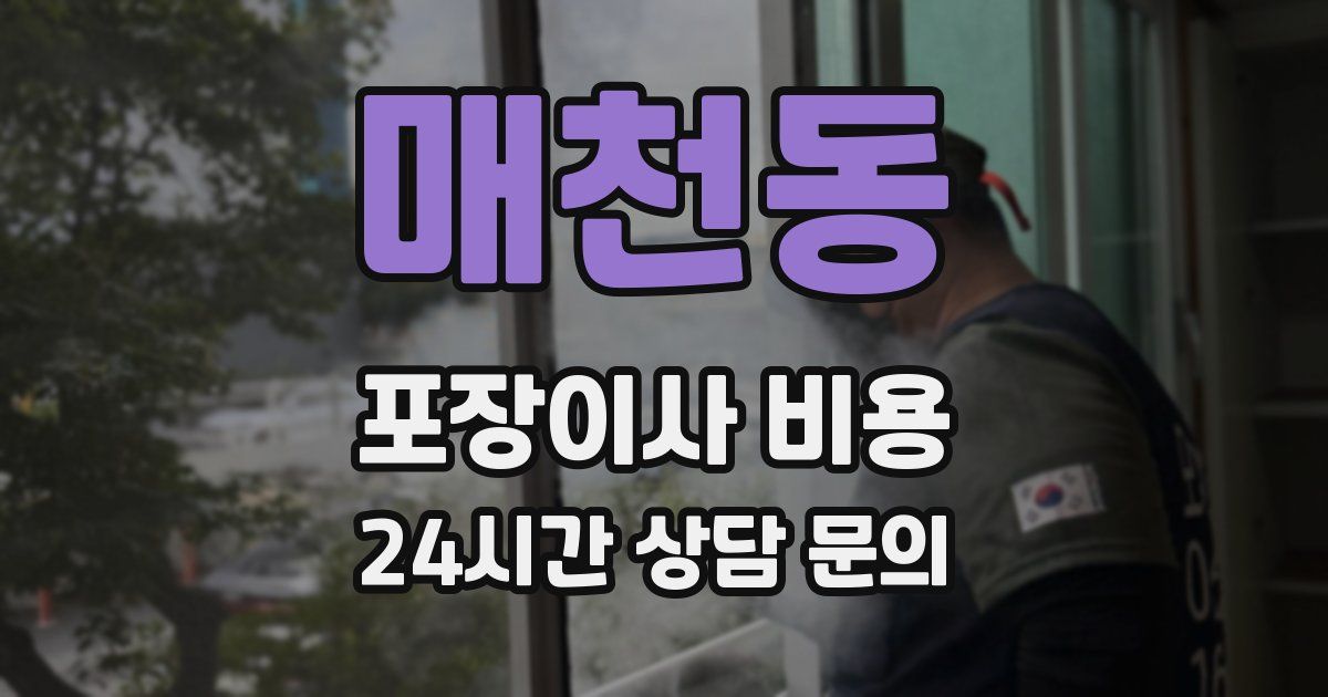 매천동 포장이사 비용