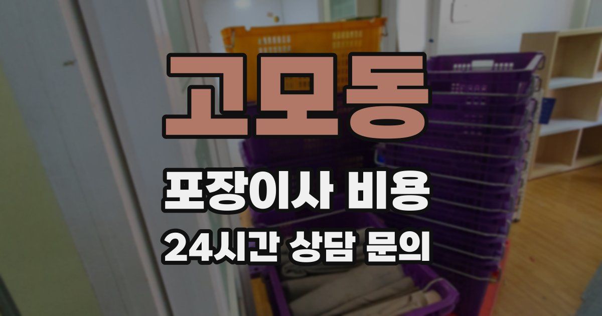 고모동 포장이사 비용