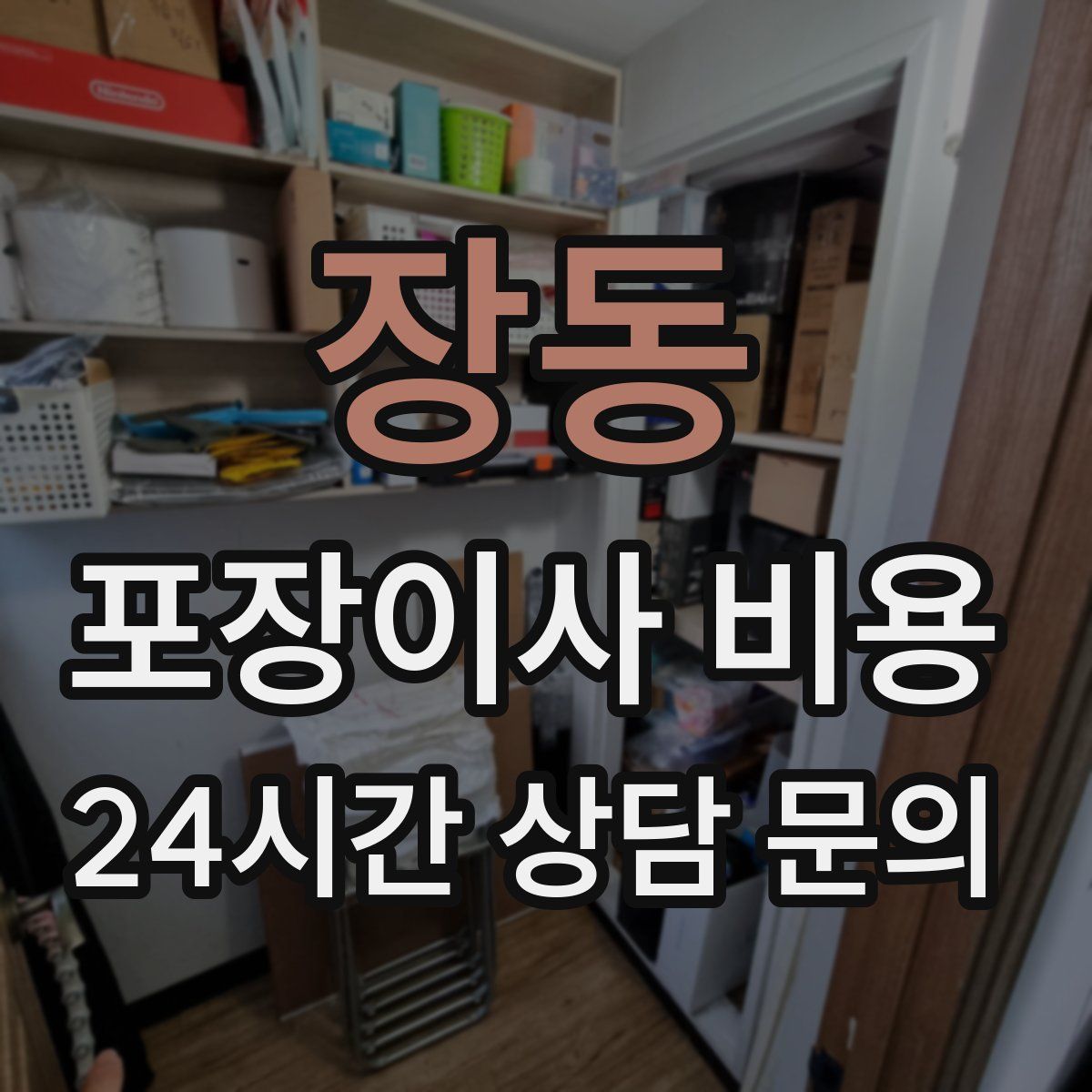 장동 포장이사 비용