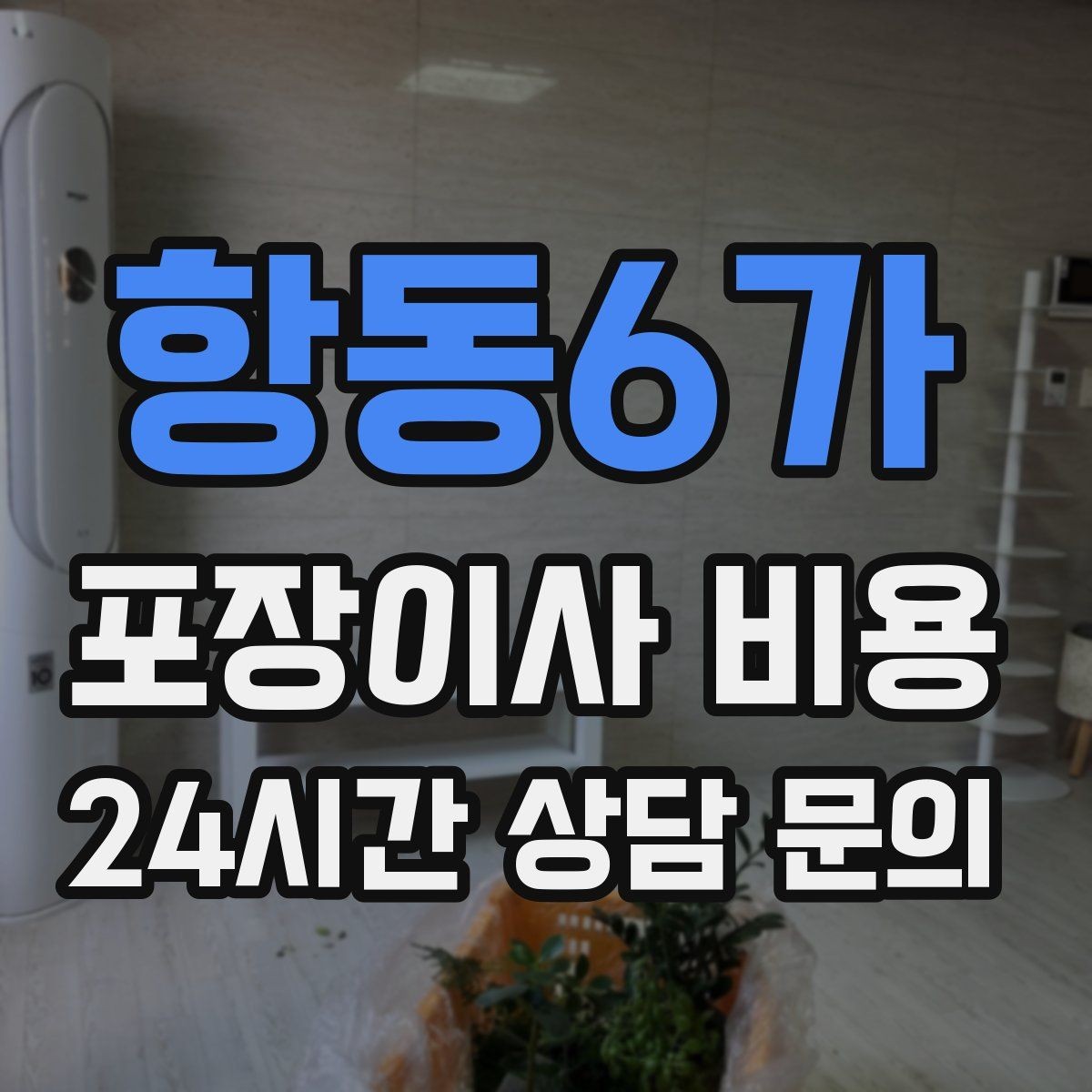 항동6가 포장이사 비용 세탁기 배수 연결이 추가되는 경우