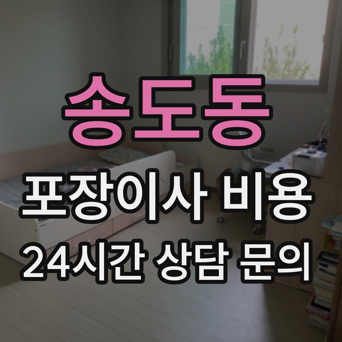 송도동 포장이사 비용 책을 박스에 담을 때 무게 제한이 중요한 이유