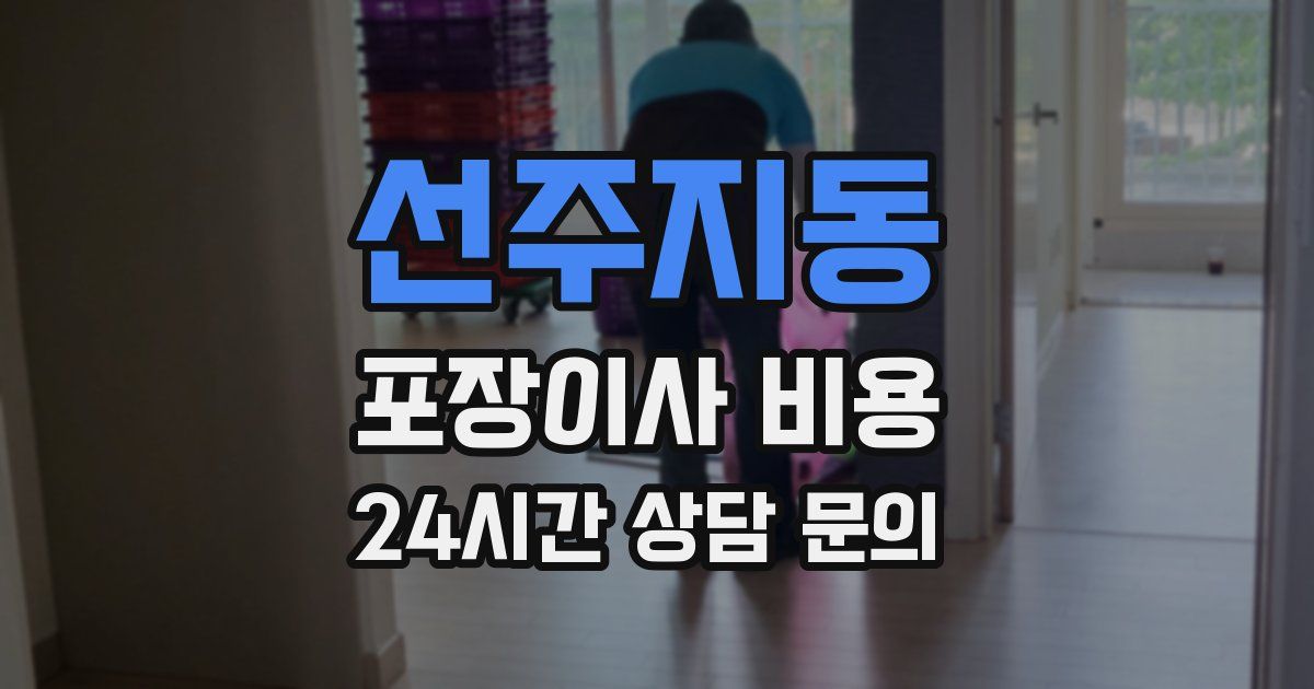 선주지동 포장이사 비용