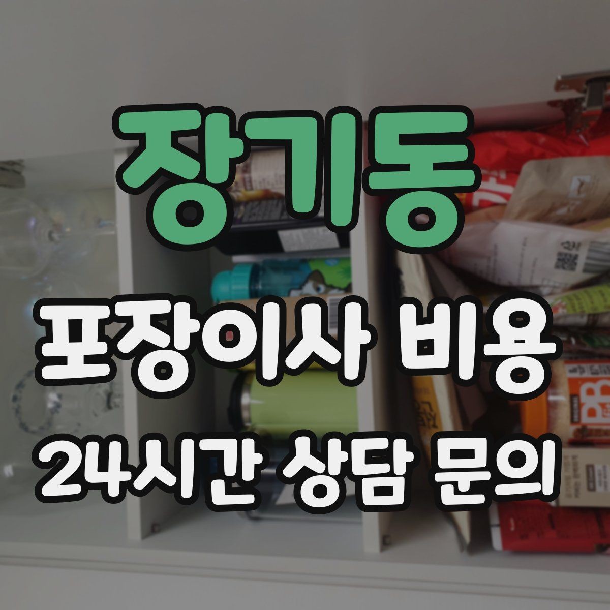 장기동 포장이사 비용 1인 가구가 포장이사를 선택하는 이유