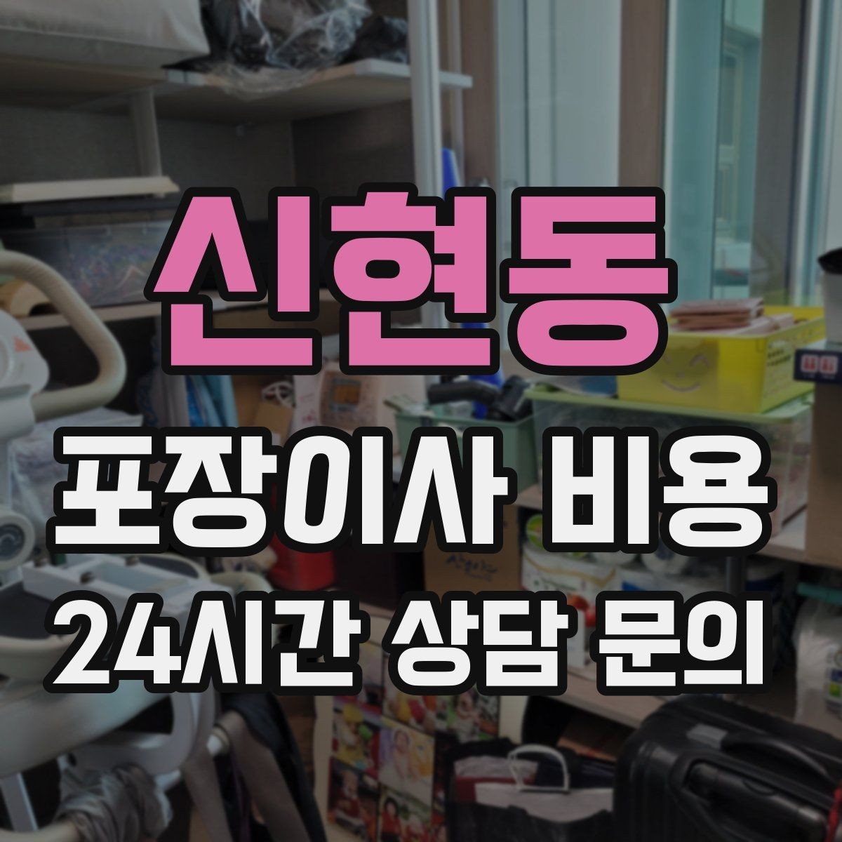 신현동 포장이사 비용 어항·대형 화분이 있을 때 견적 포인트