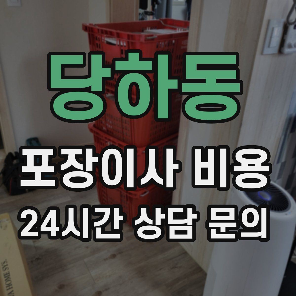 당하동 포장이사 비용 반려동물이 있으면 준비가 달라지는 이유