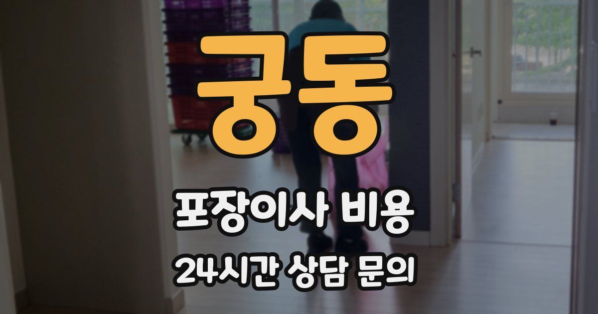 궁동 포장이사 비용