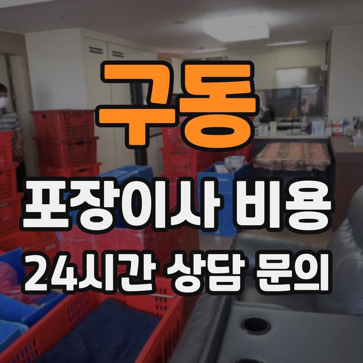 구동 포장이사 비용 반려동물 스트레스 줄이는 이사 당일 동선