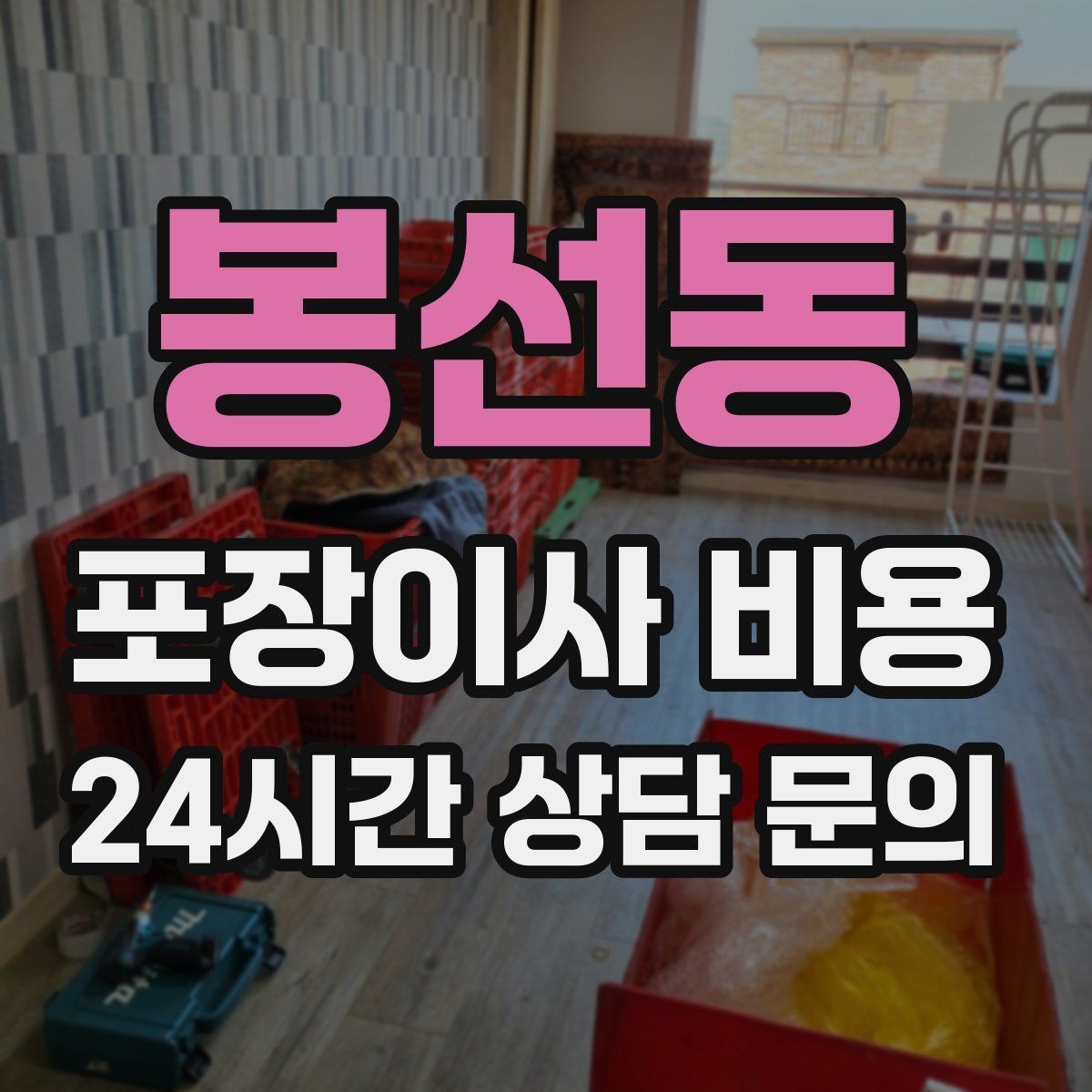 봉선동 포장이사 비용 반려동물 스트레스 줄이는 이사 당일 동선