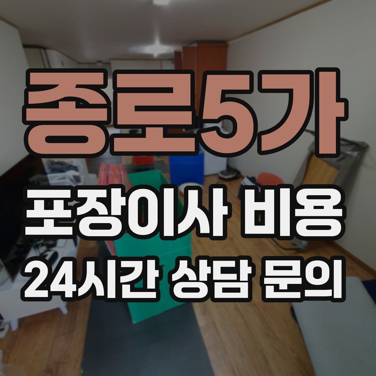 종로5가 포장이사 비용 반려동물이 있으면 준비가 달라지는 이유
