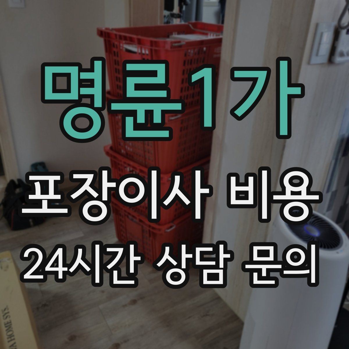 명륜1가 포장이사 비용 주소 변경(전입신고) 일정과 이사 준비