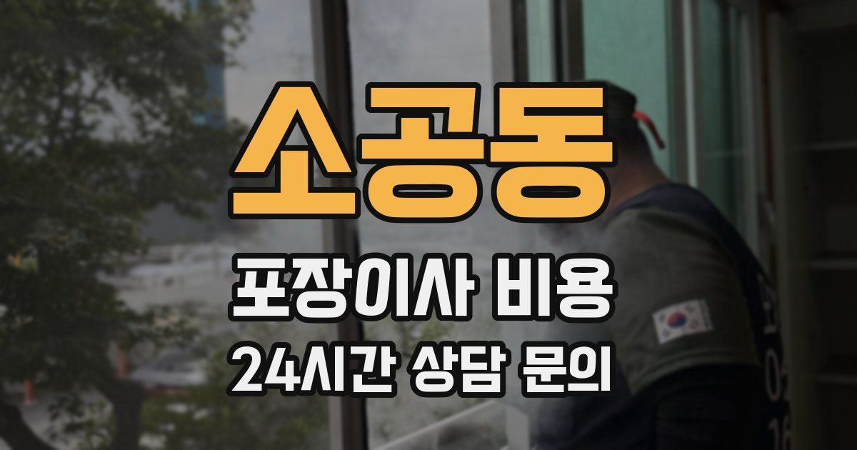 소공동 포장이사 비용