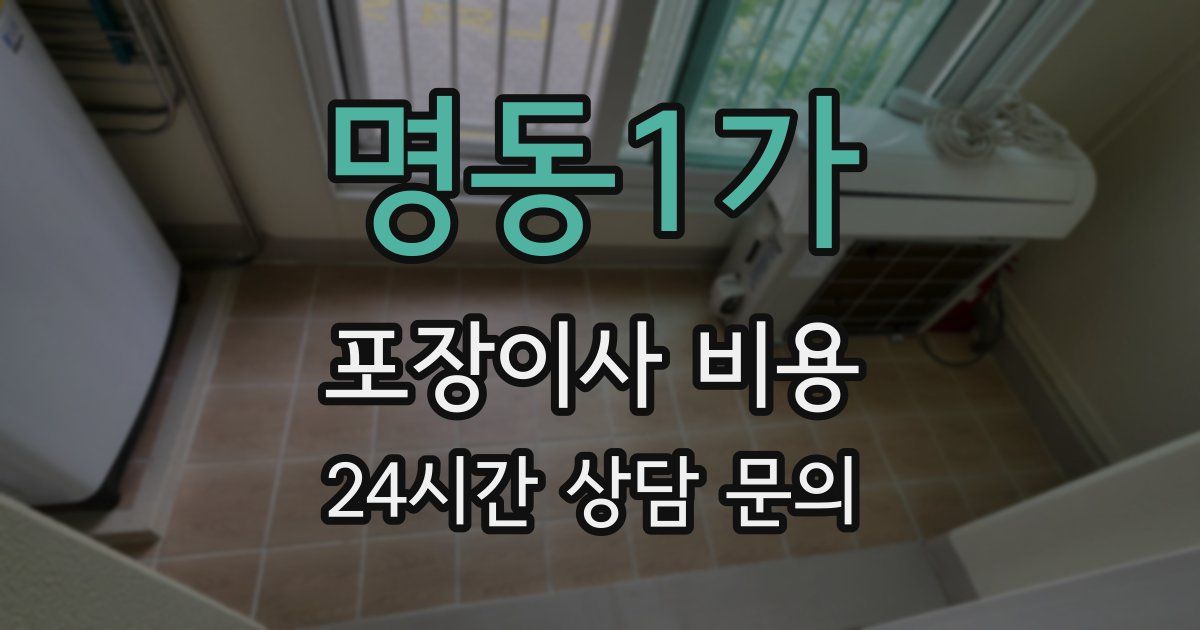 명동1가 포장이사 비용