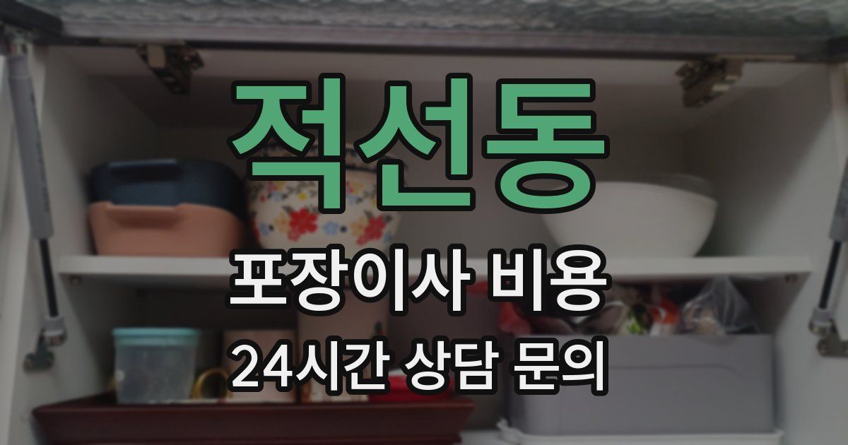 적선동 포장이사 비용