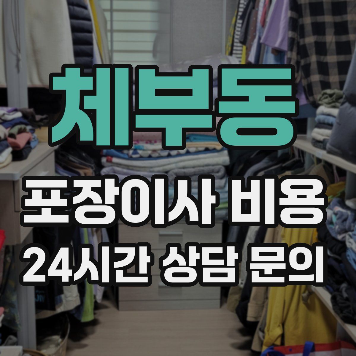 체부동 포장이사 비용