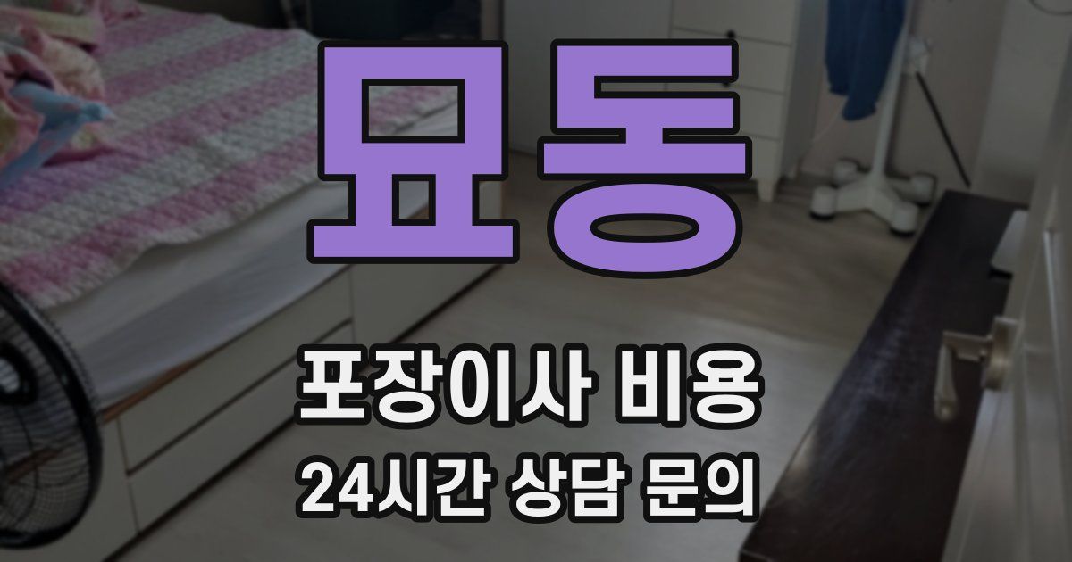 묘동 포장이사 비용