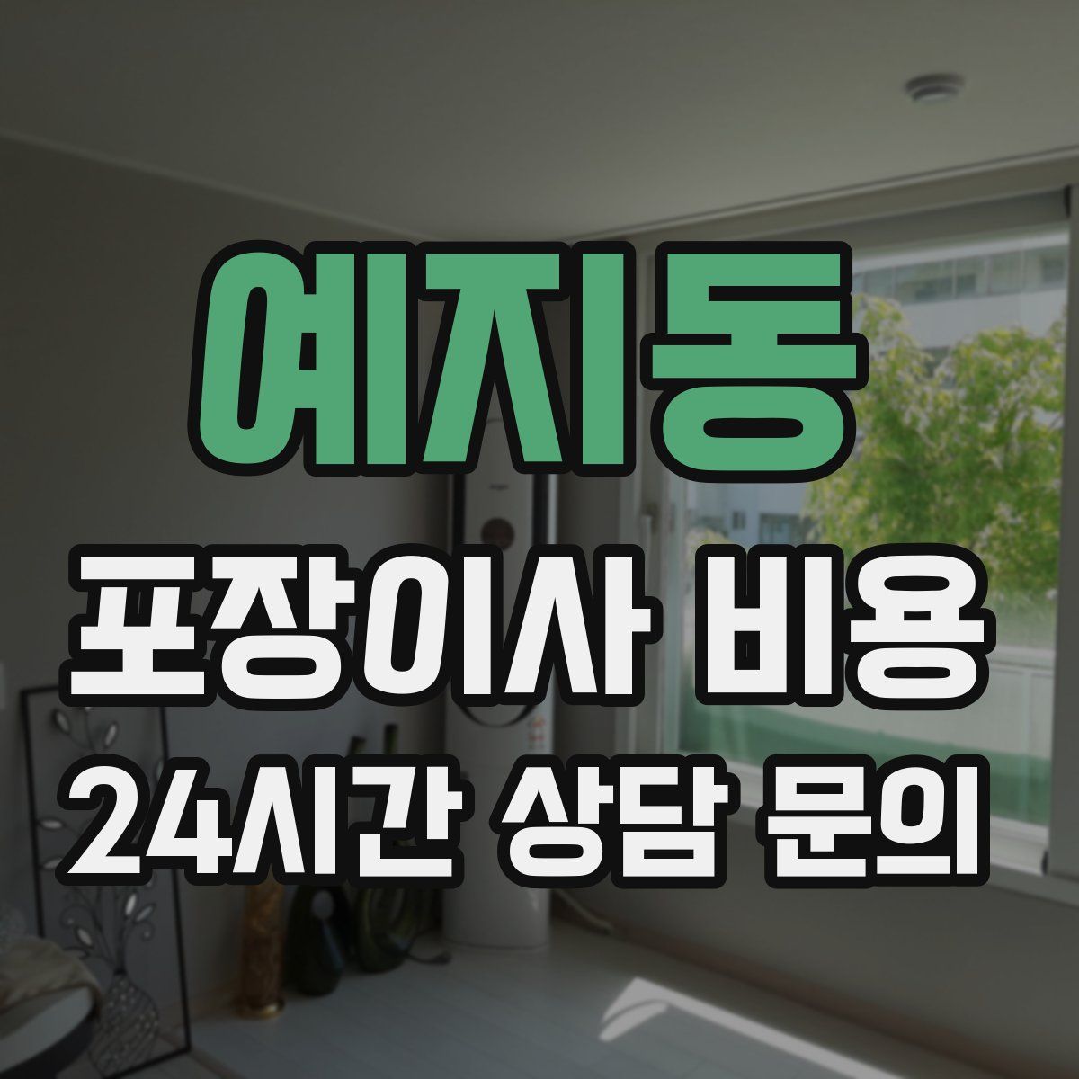예지동 포장이사 비용